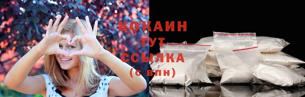 mdpv Горняк