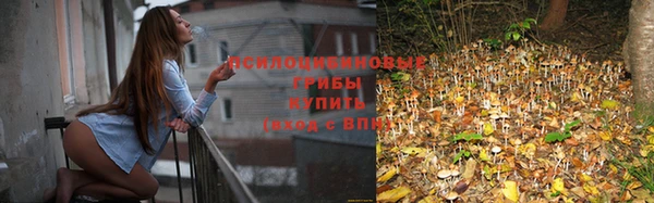 амф Горнозаводск