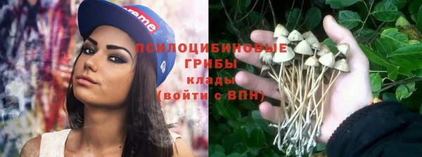 амф Горнозаводск